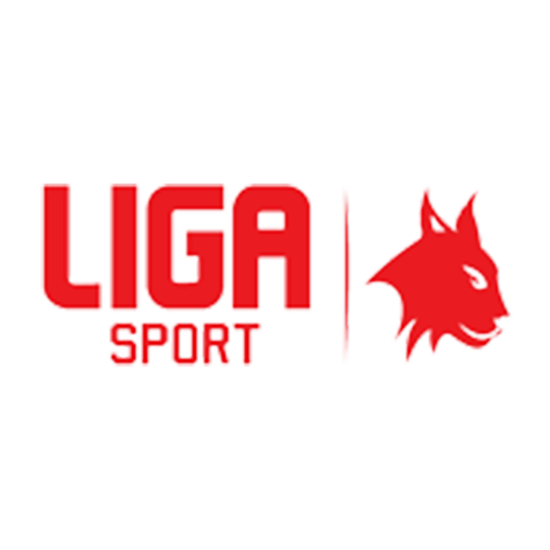 ligasport logo image